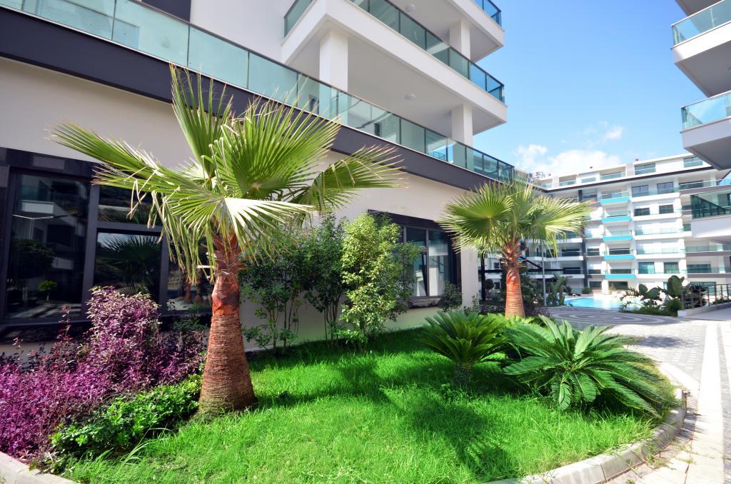2 Bedrooms Business Single Apartment single bed