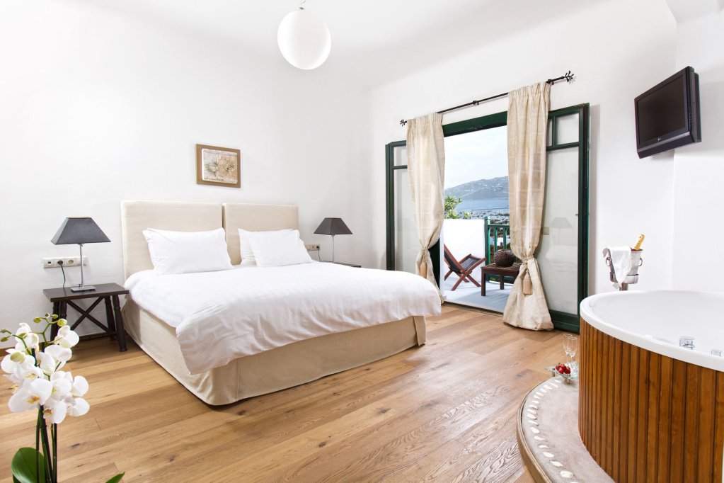 Classic Triple room with inland view