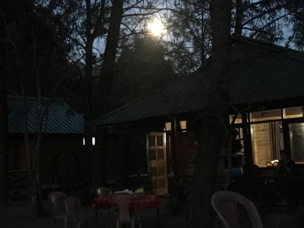 Inde Pinewood Nirvana Shoghi Shimla exterior