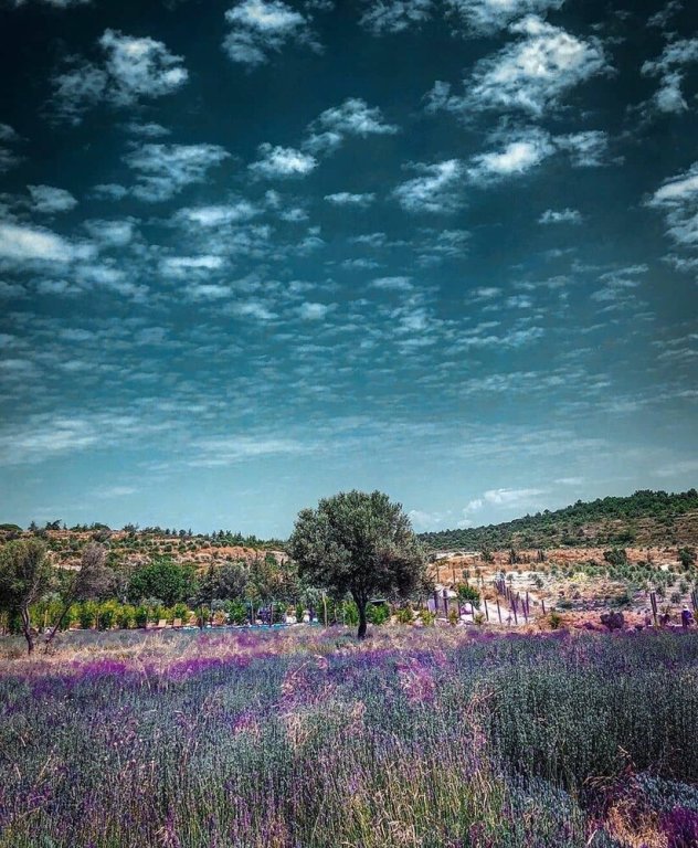 Vadi Alacati exterior