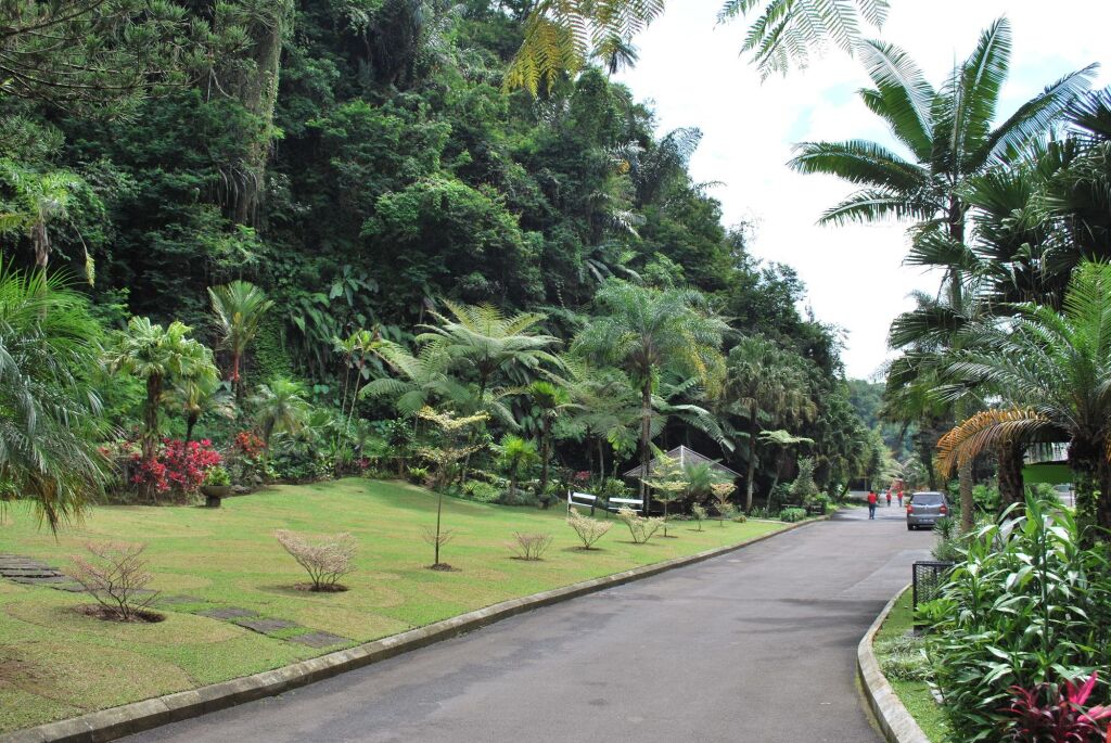 Zuri Resort Cipanas exterior