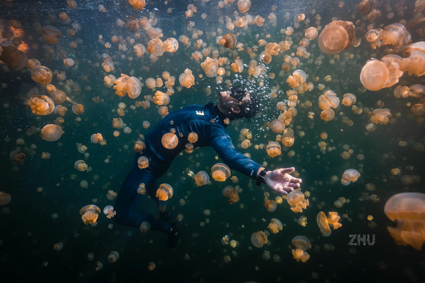Jellyfish Lake