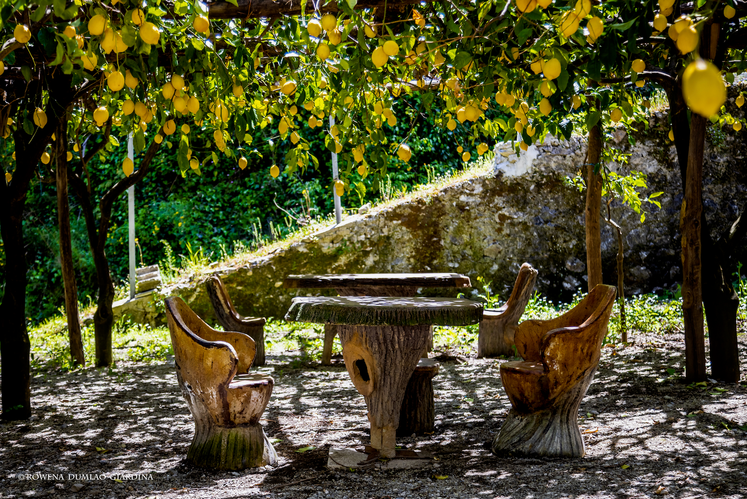 Amalfi Historical Garden - Lemon Farm