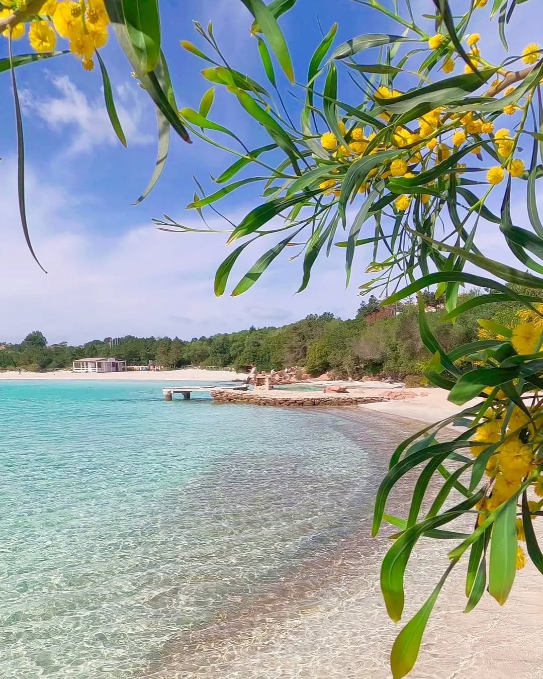 Porto Istana photo 3