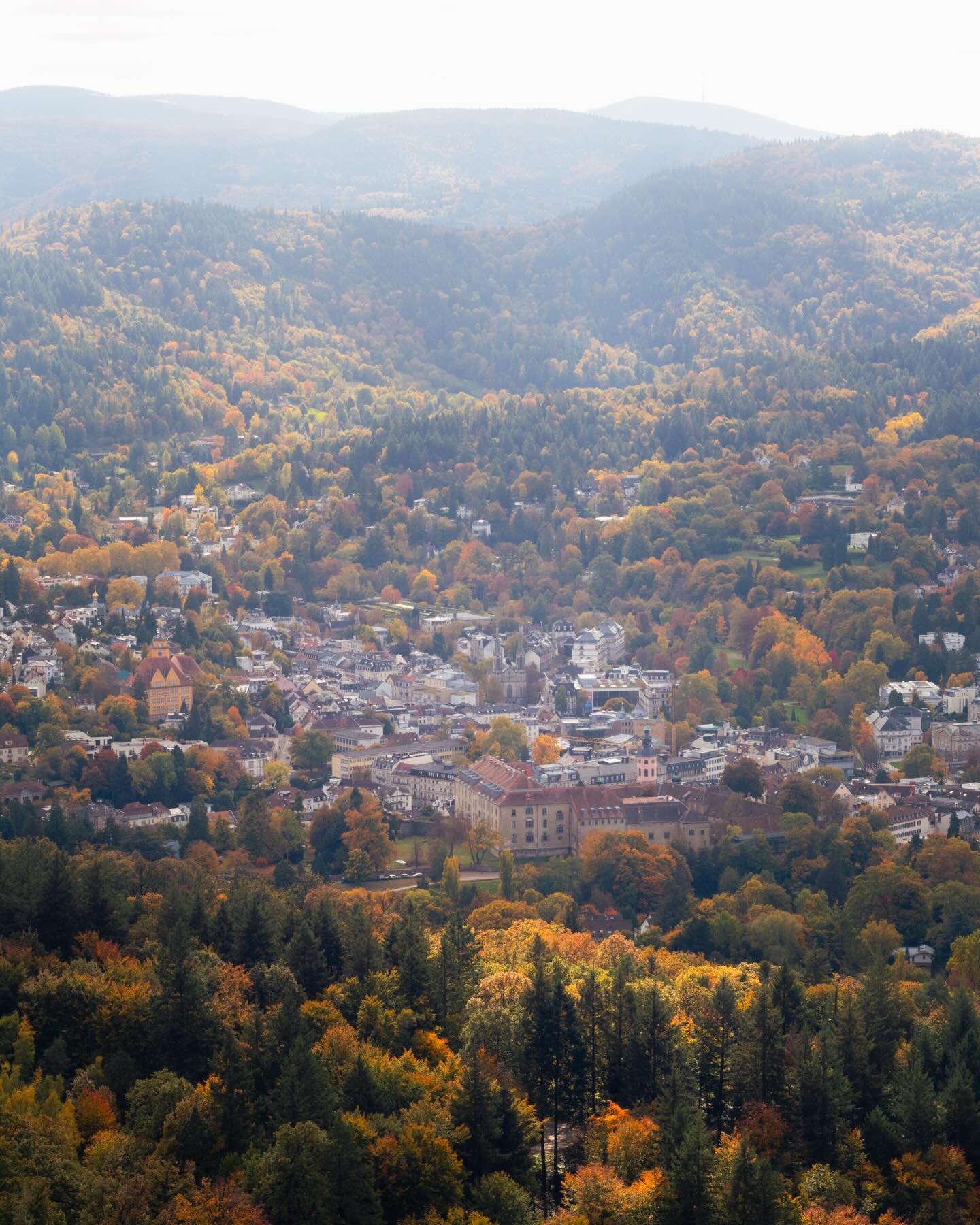 Black Forest