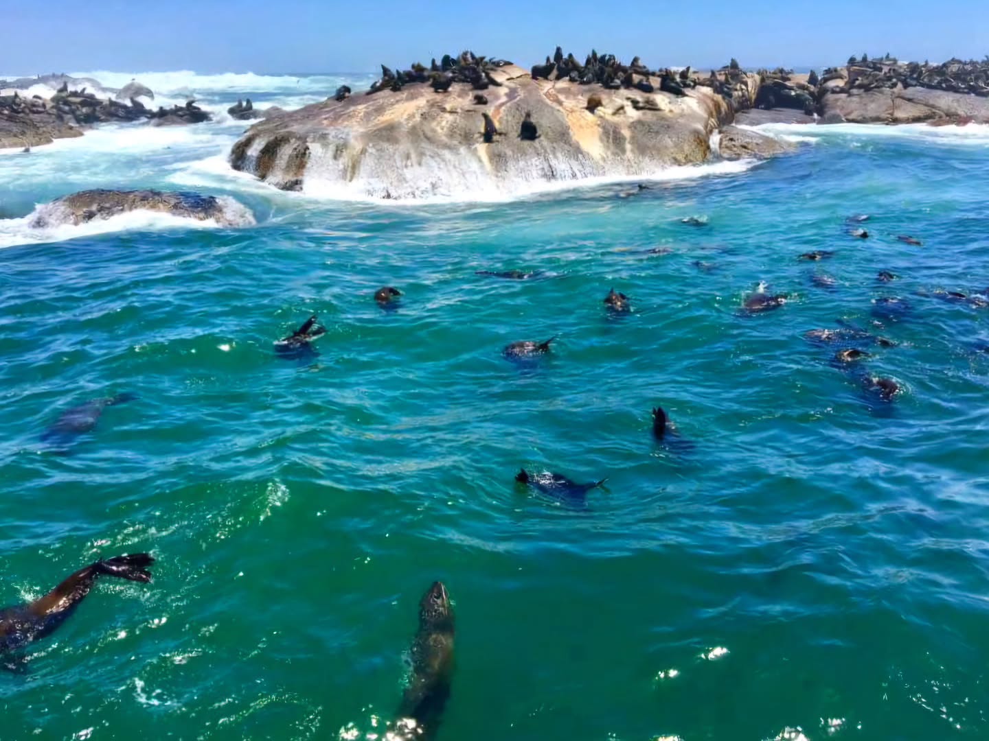 Hout Bay
