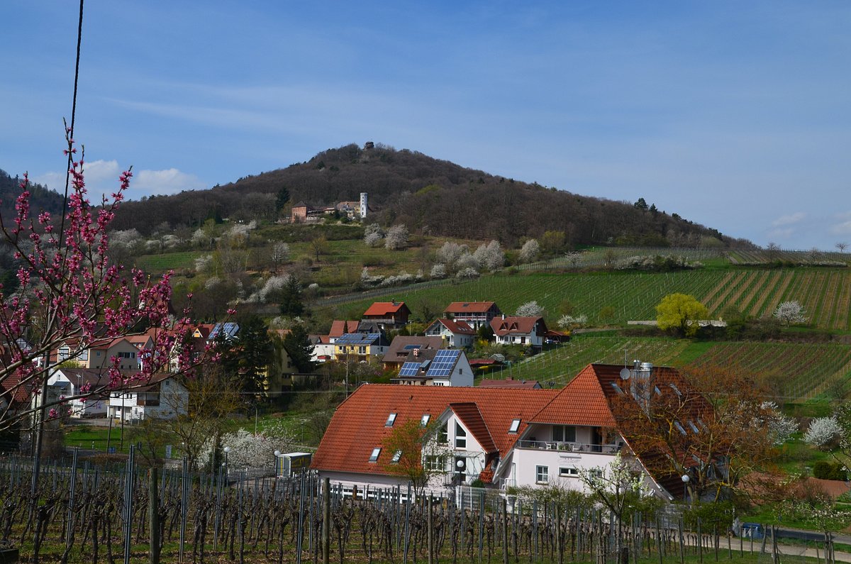 Burgruine Neukastel photo 2