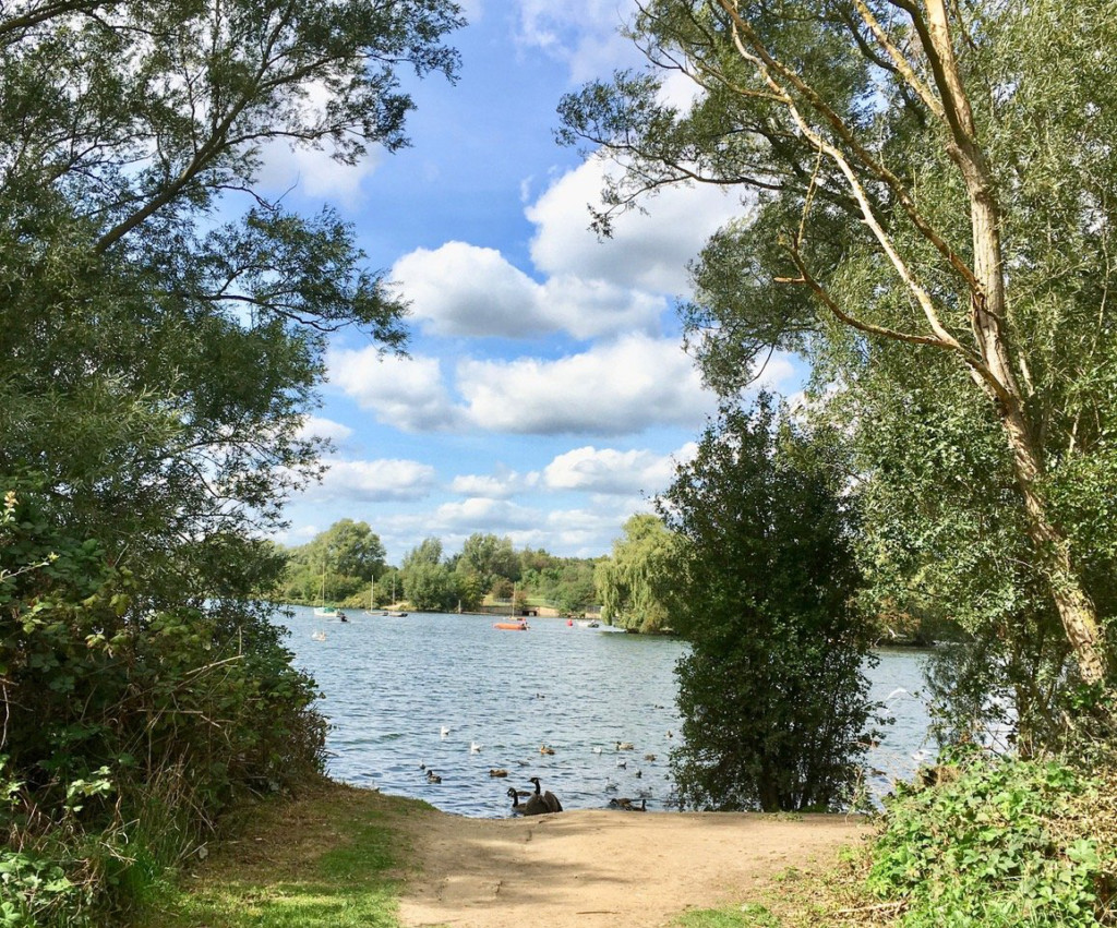 Fairlop Waters Country Park photo 3