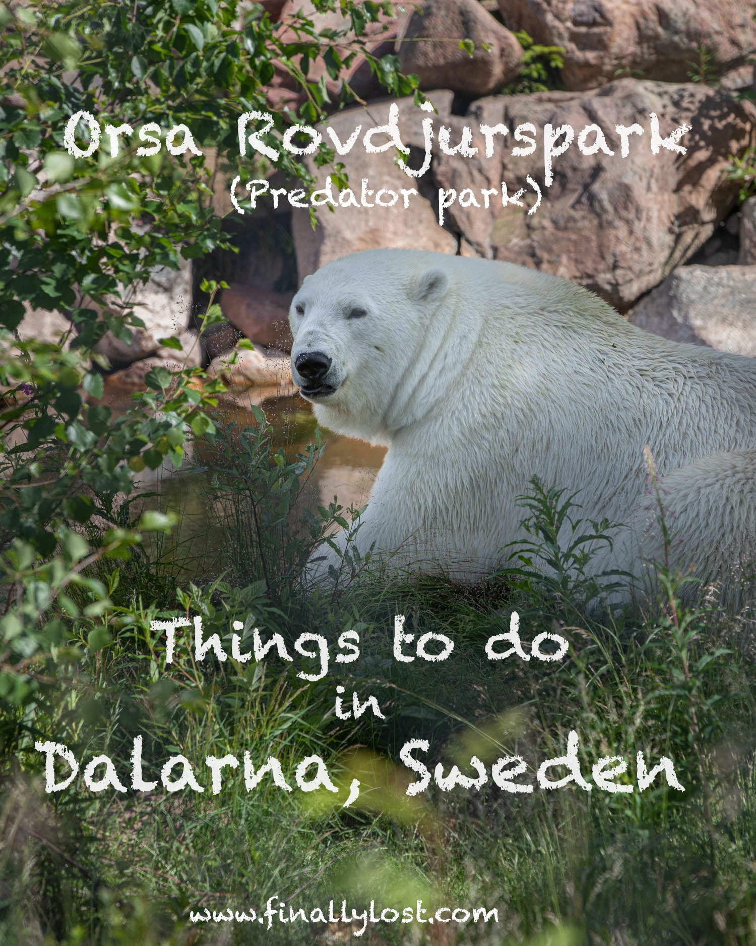 Orsa Rovdjurspark photo 3