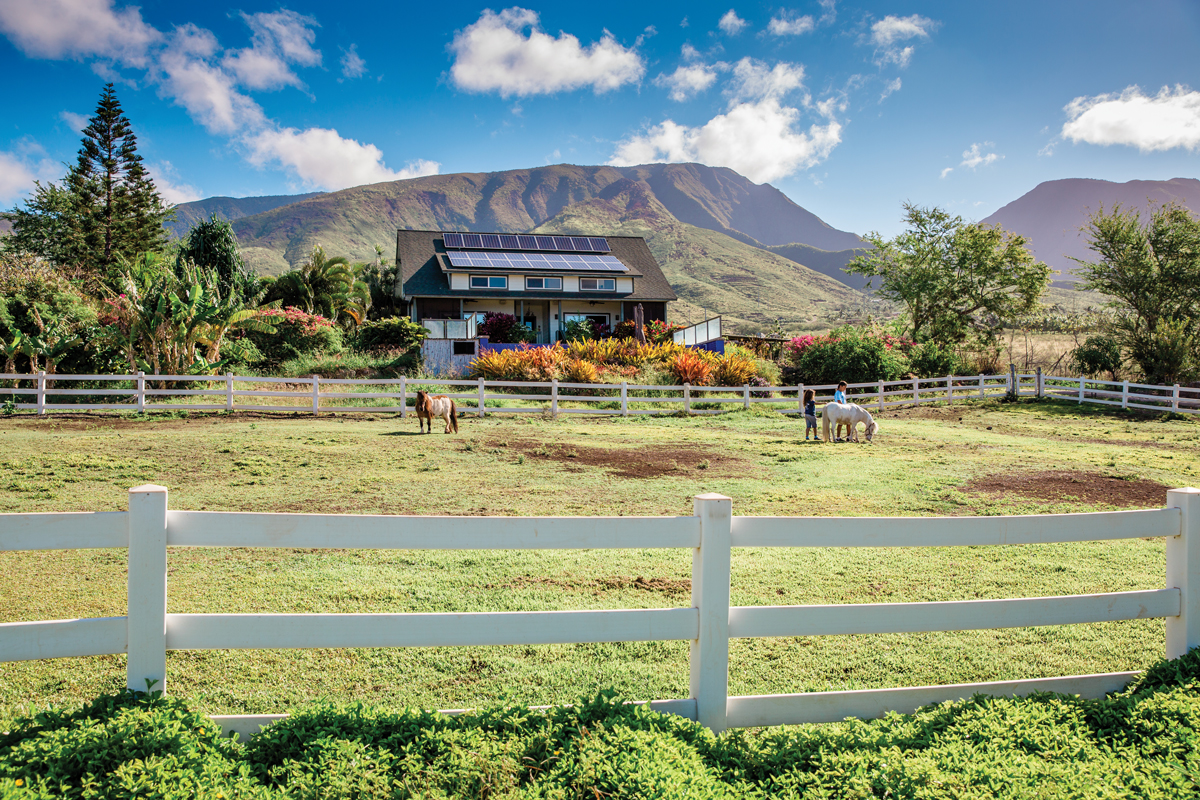 Maui Animal Farm photo 2