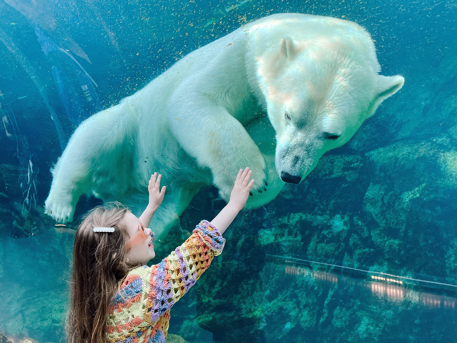 Assiniboine Park Zoo photo 2
