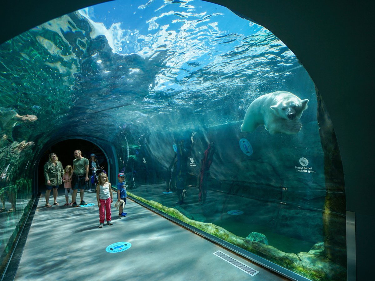 Assiniboine Park Zoo photo 3