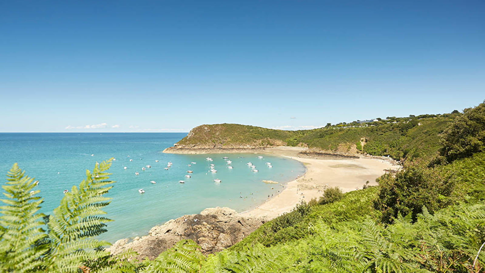 Plage de la Pissotte photo 2