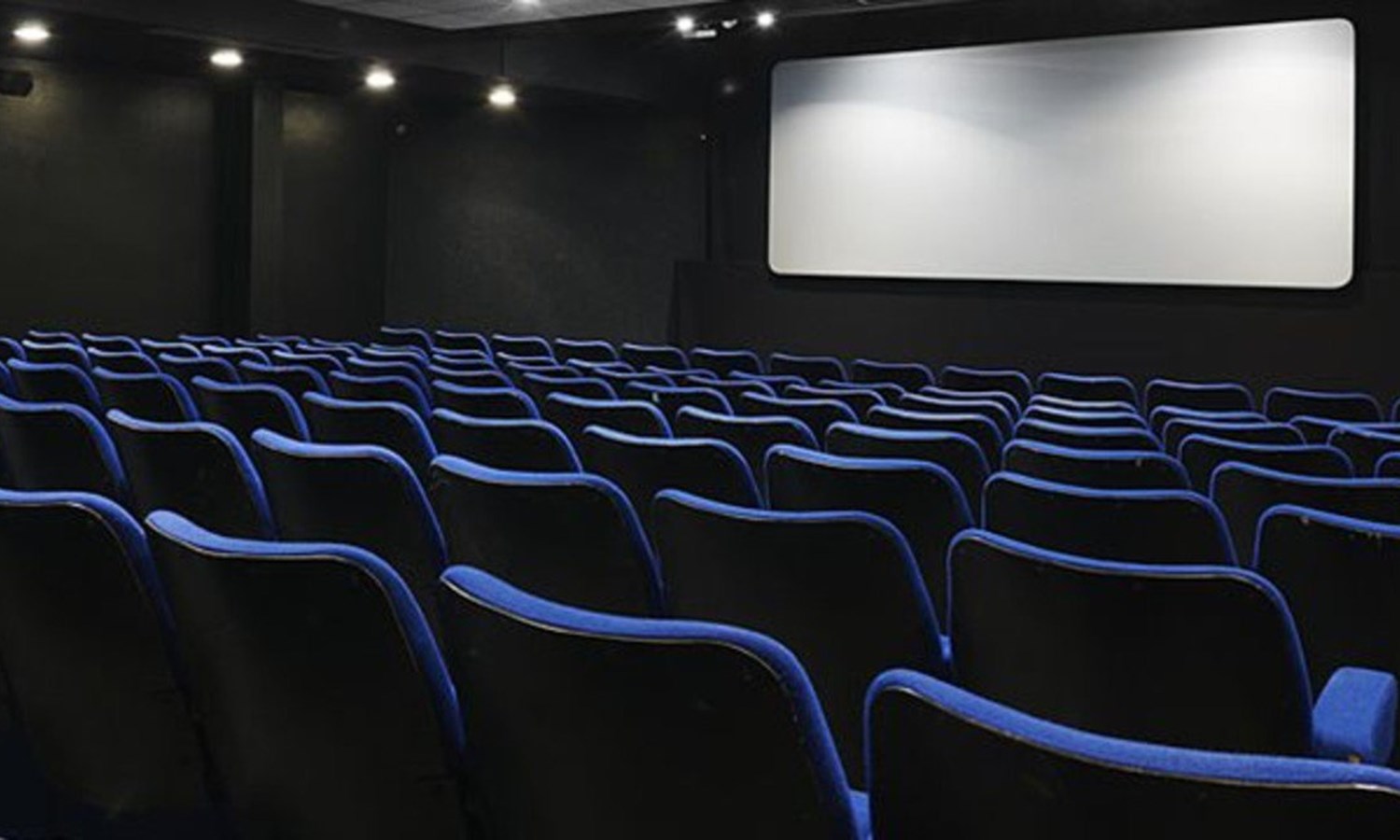 The Mallard Cinema hero