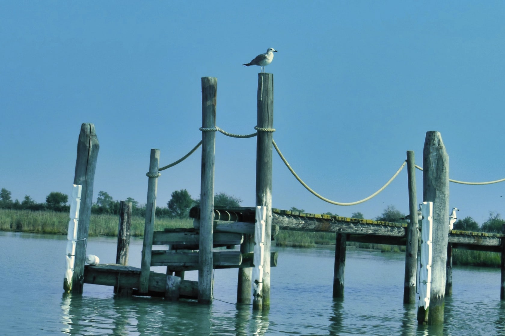 Laguna di Caorle photo 3