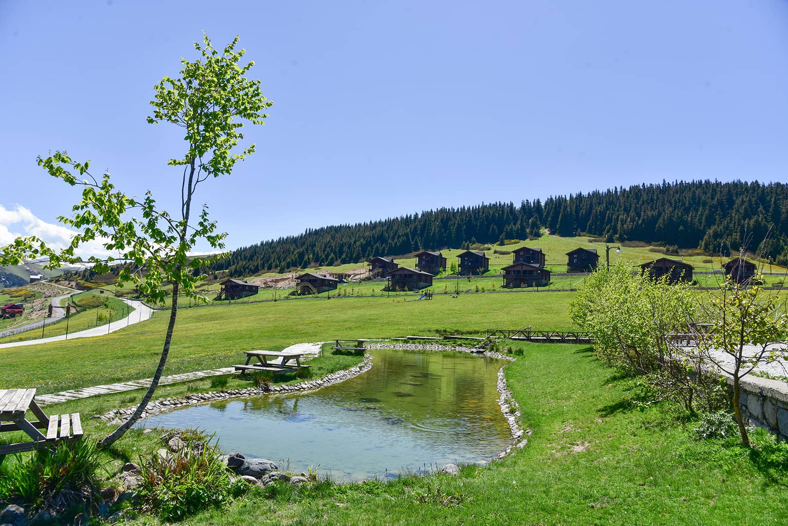 Koçkayası Tabiat Parkı photo 2