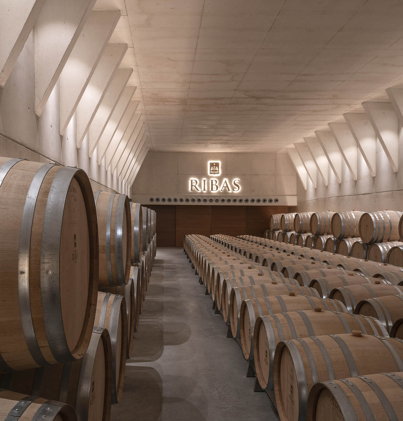 Bodega Ribas photo 2