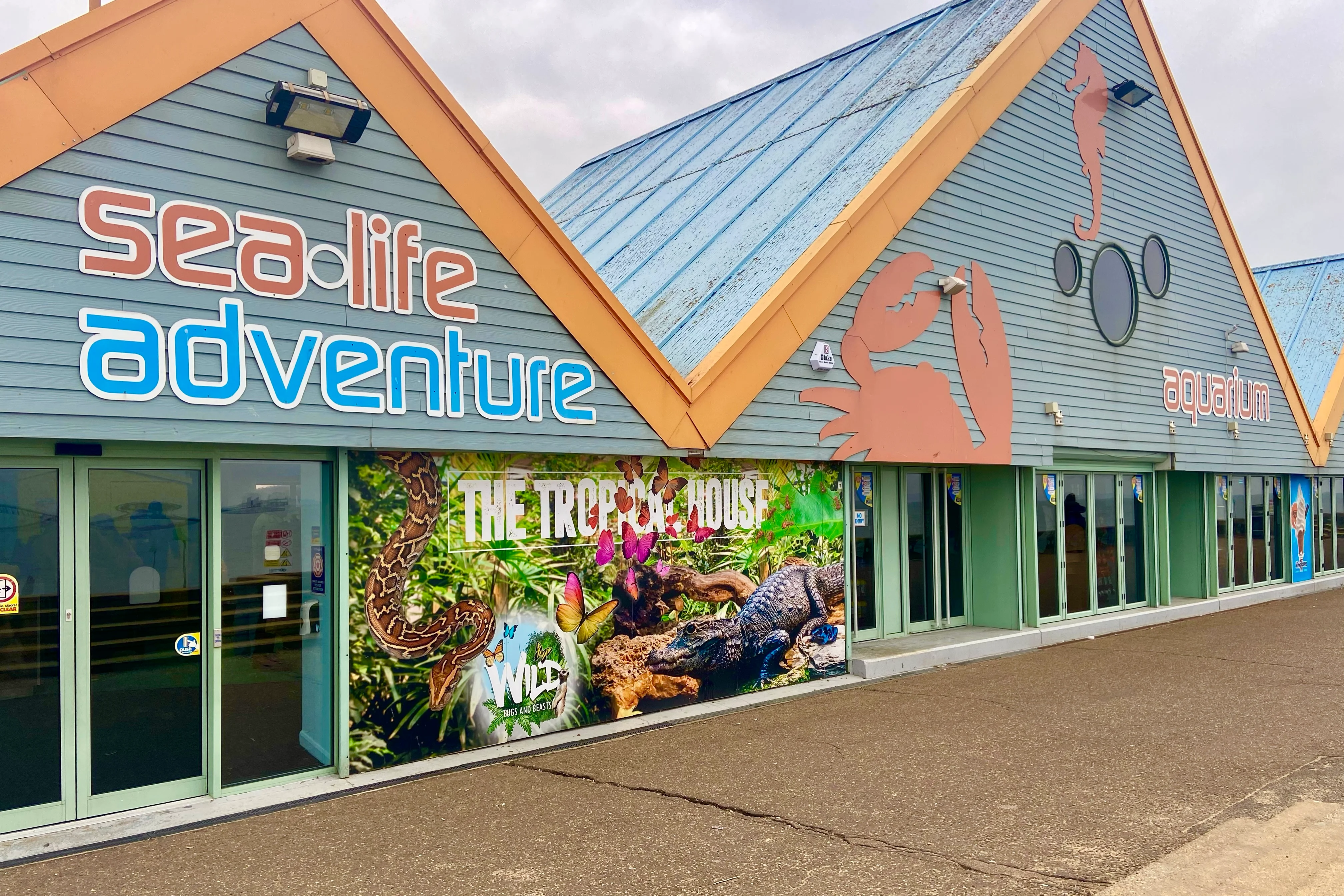 Sealife Adventure photo 3
