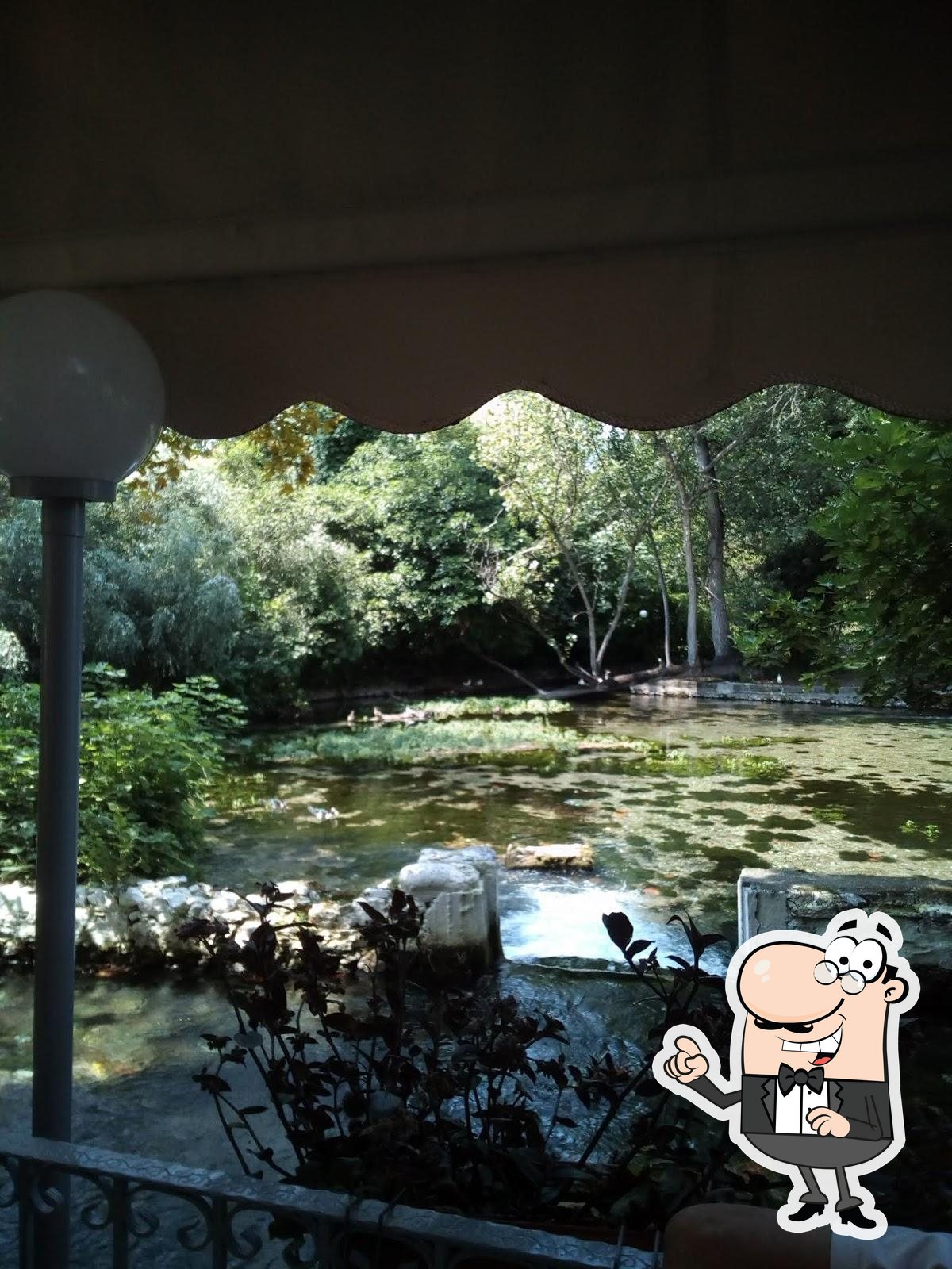 Tavern The Waters of Agia Varvara photo 3