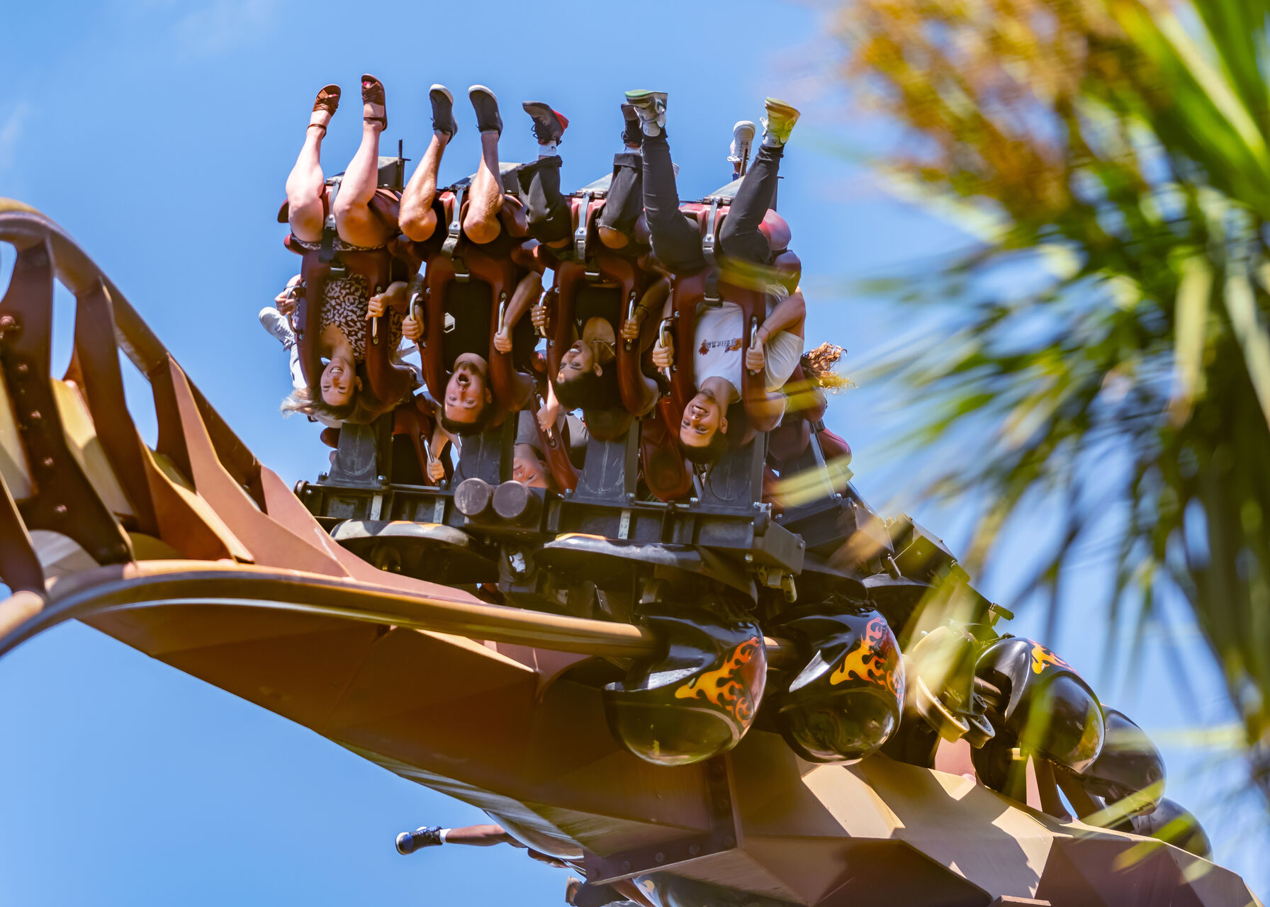 Thorpe Park Resort photo 3