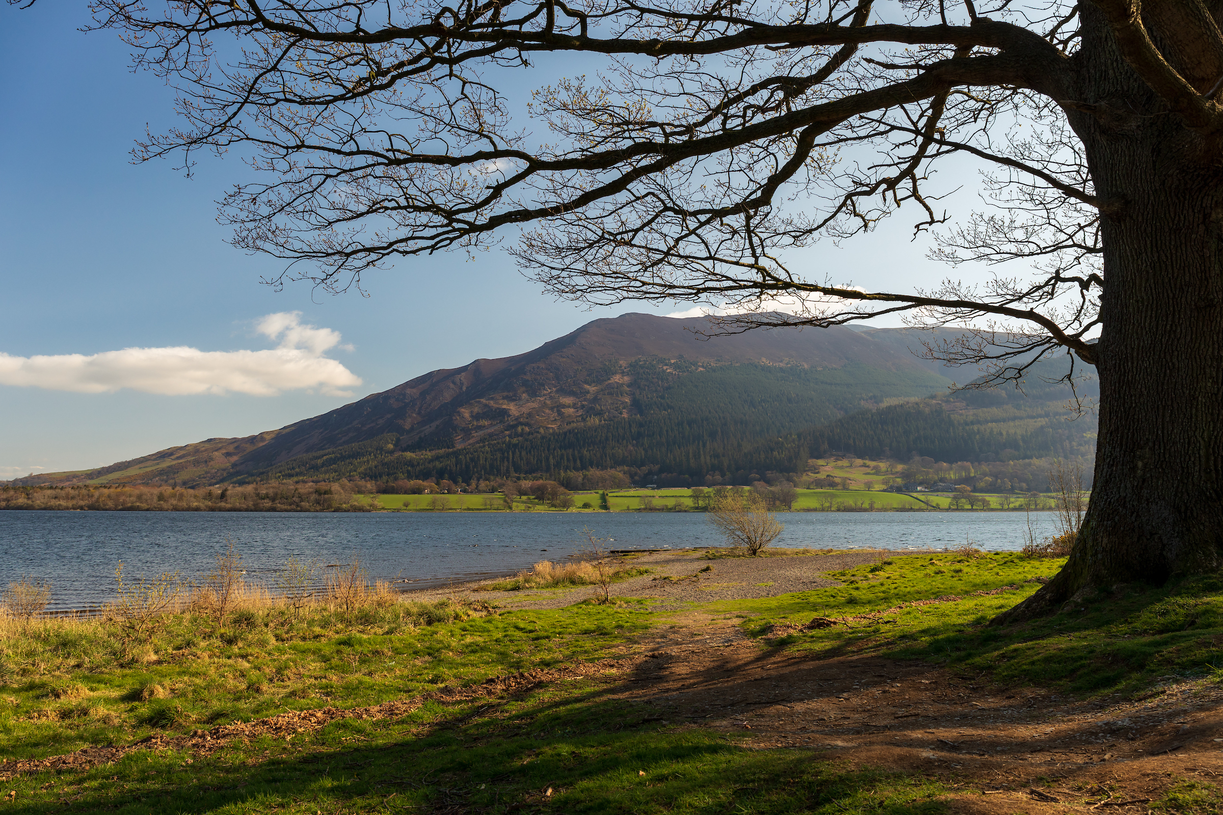 Bassenthwaite Lake National Nature Reserve photo 3