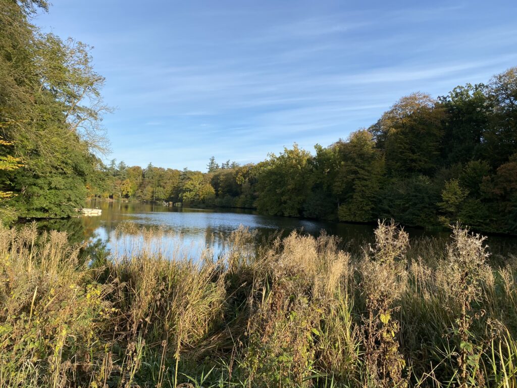 Langesø photo 2