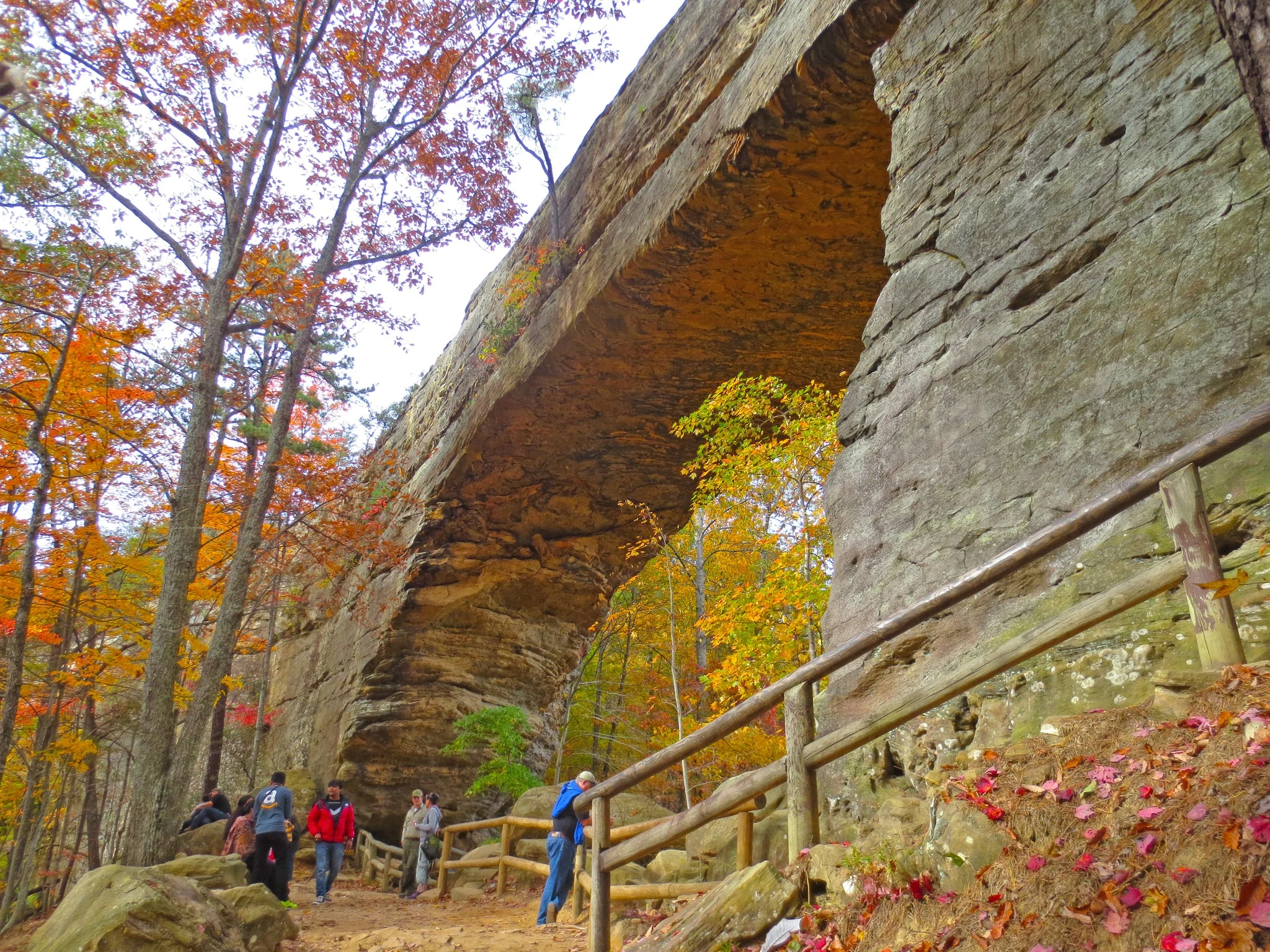 Natural Bridge State Park Woodland Center photo 3
