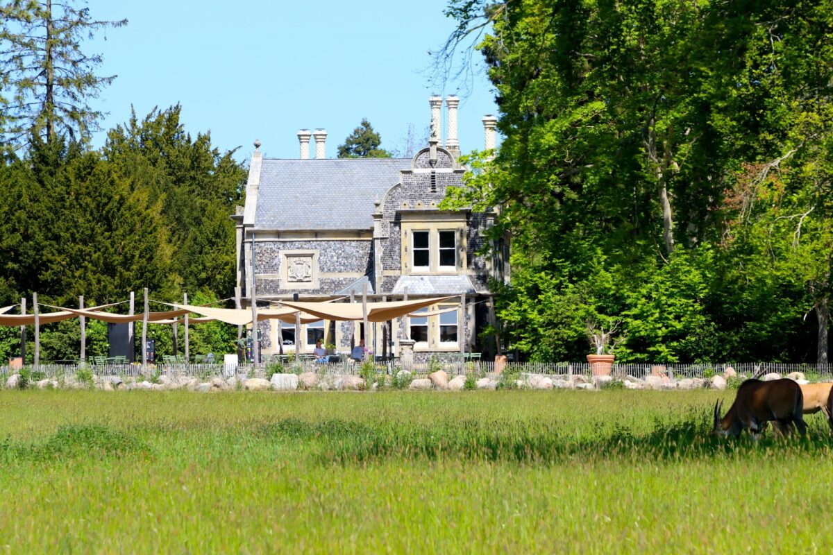 Knuthenborg Safaripark photo 3