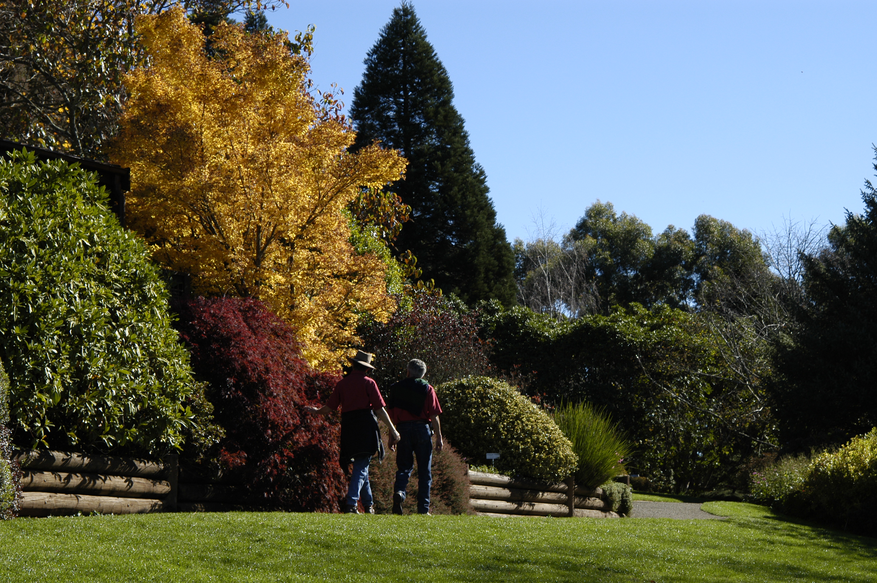 Blue Mountains Botanic Garden Mount Tomah photo 3