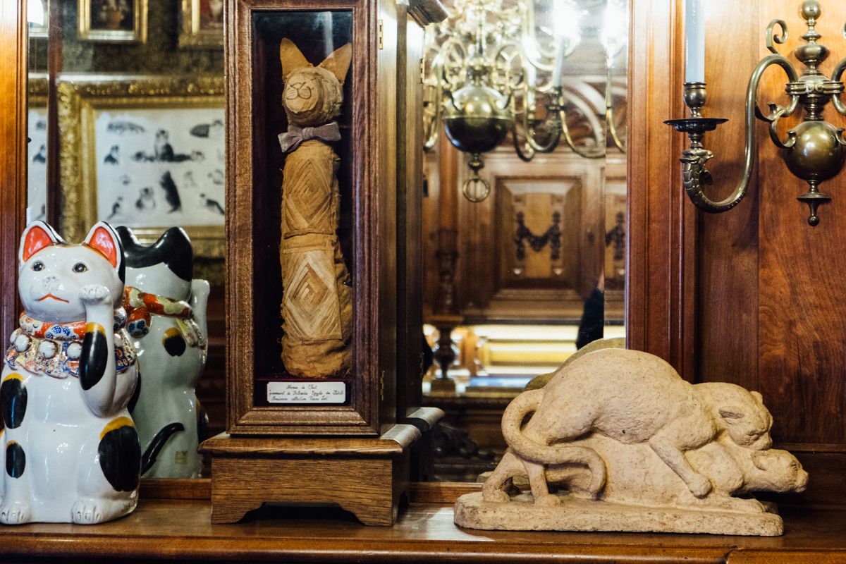 KattenKabinet (Cat Cabinet) photo 3