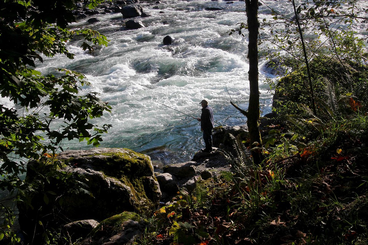 Fishtrap Creek Park photo 2