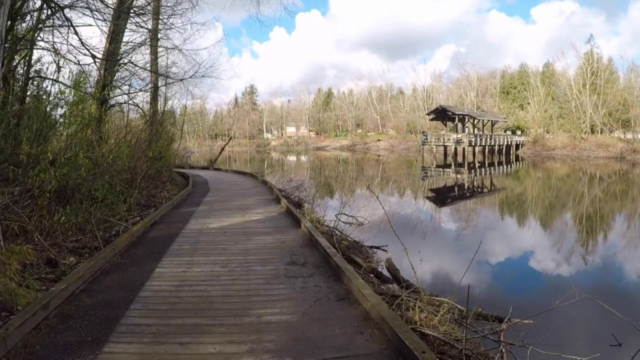 Fishtrap Creek Park photo 3