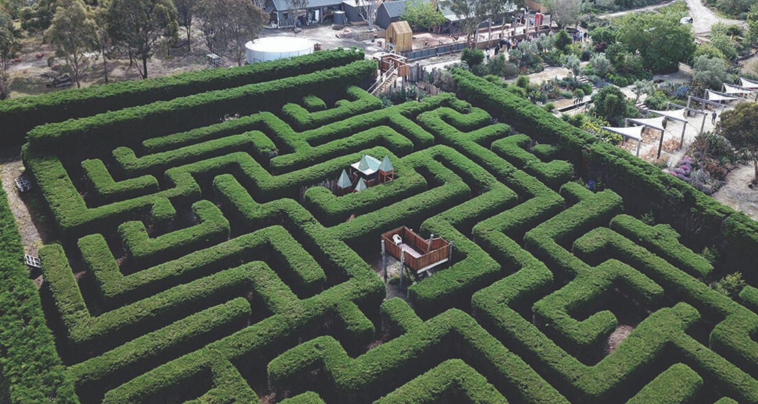 Barrabool Maze Estate photo 3