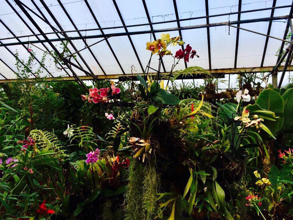 Butterfly World Ltd photo 2