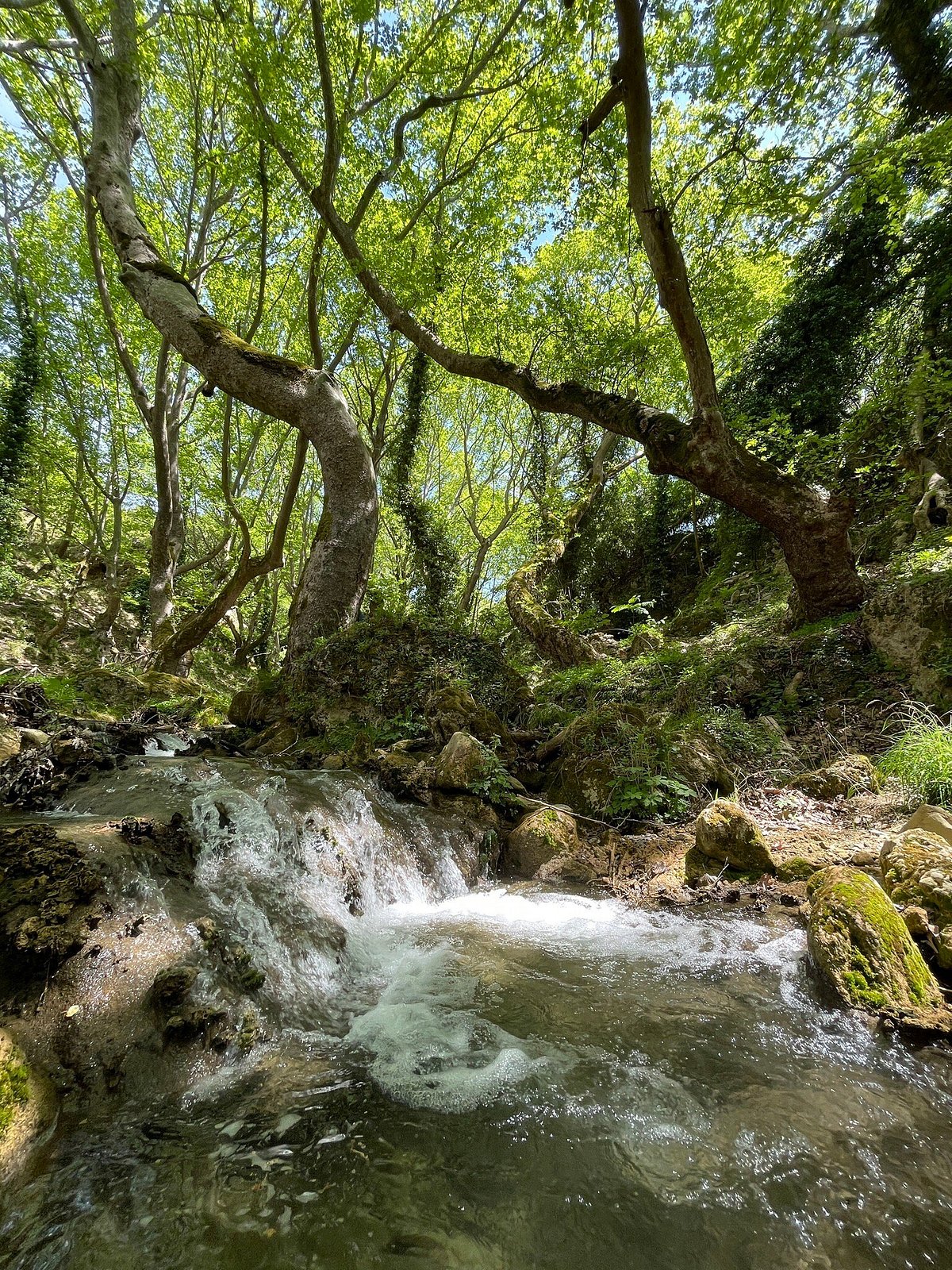 The Waterway Trail photo 3
