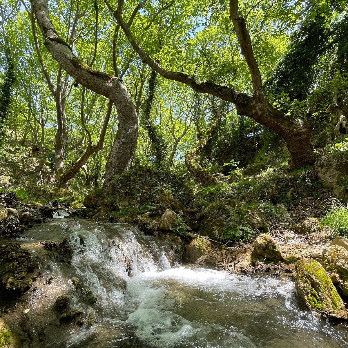 The Waterway Trail photo 2