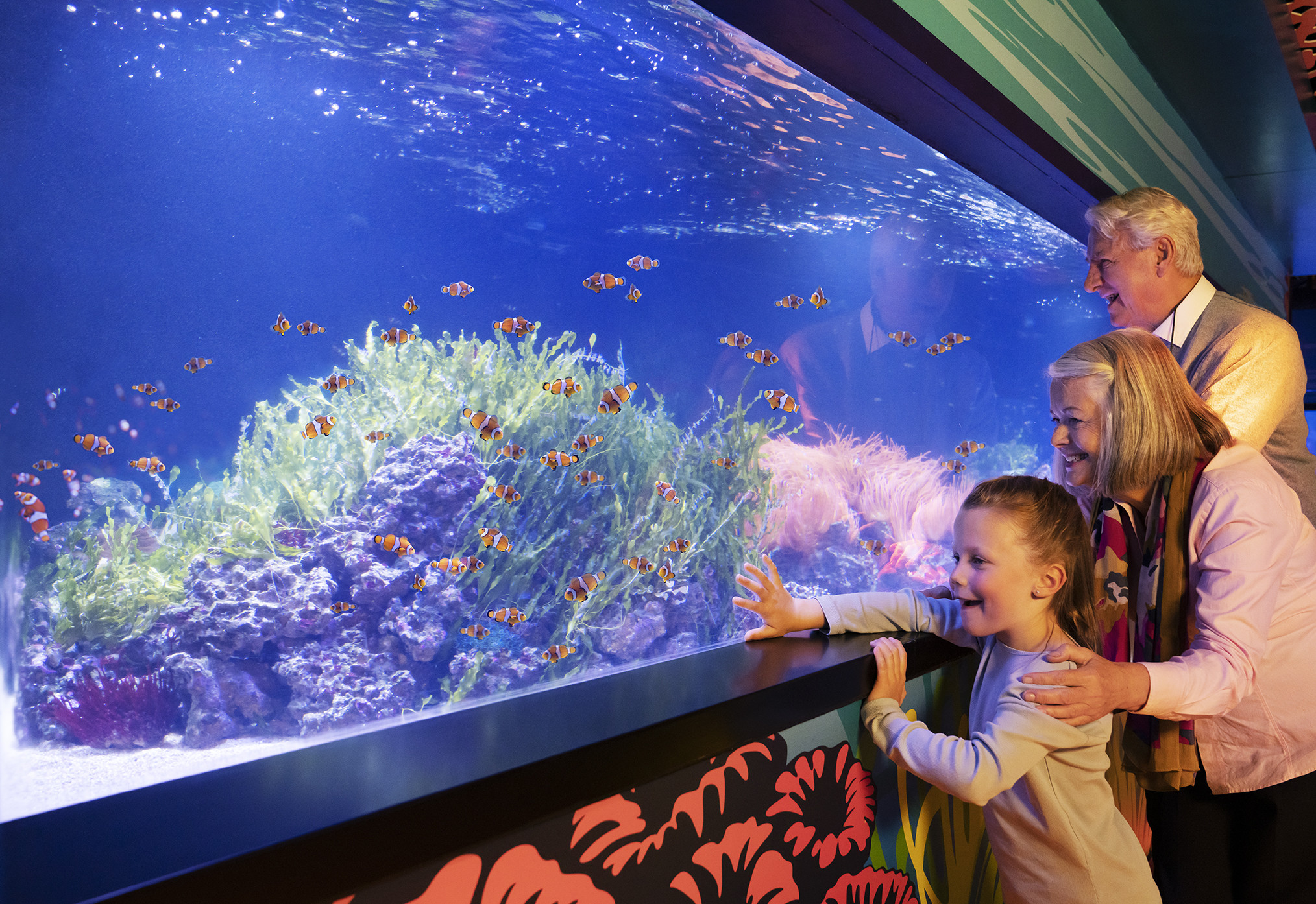 SEA LIFE London Aquarium hero