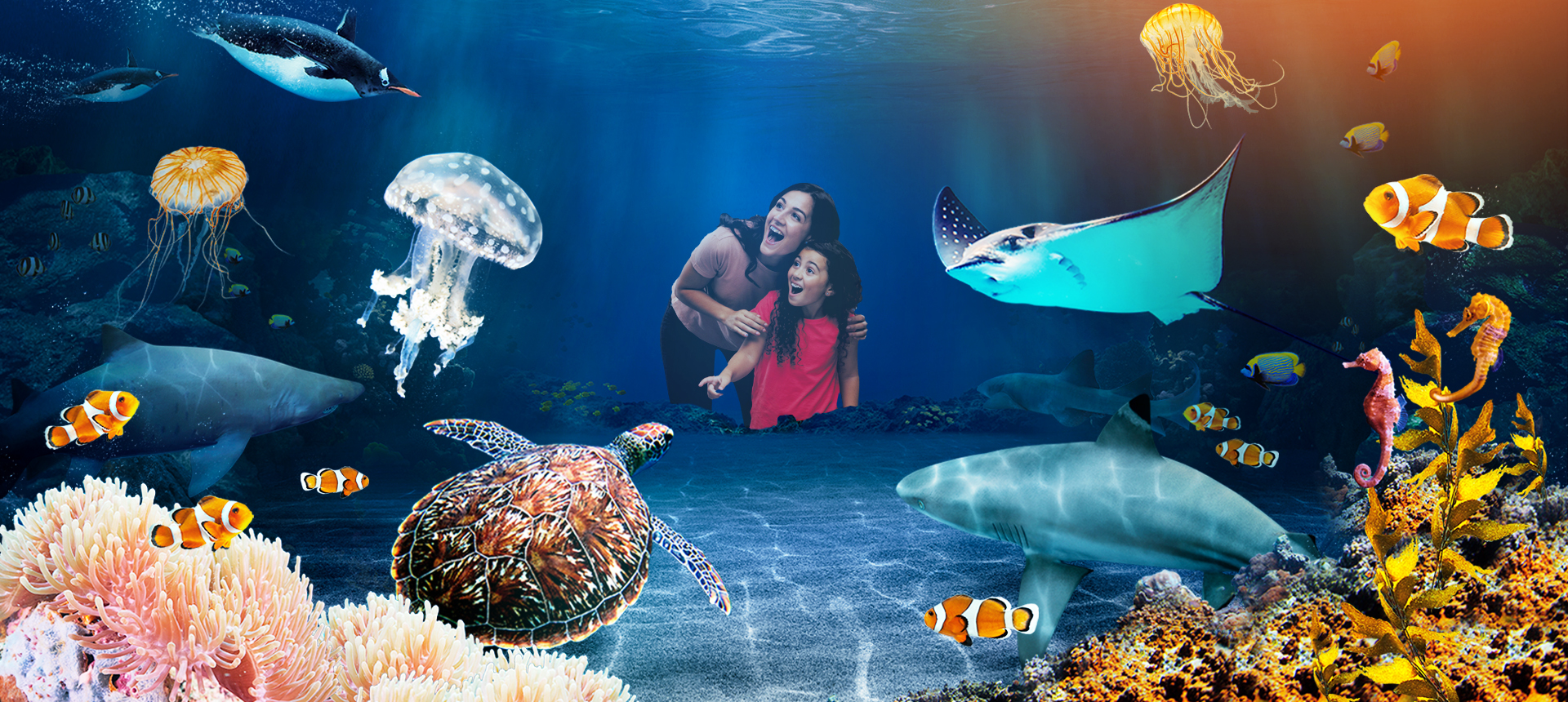 SEA LIFE London Aquarium photo 3